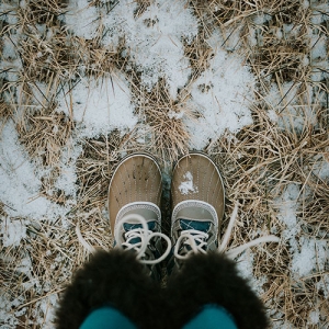 carpet cleaners in Tahoe