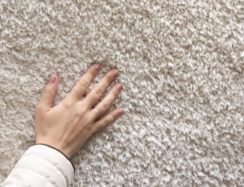 6 Ways to Make Your Carpet Last Longer