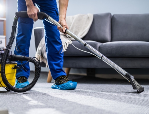 Carpet Cleaning Can Double its Useful Life