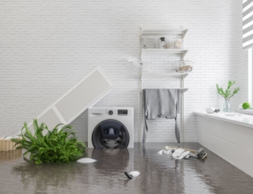 Don’t Wait – 4 Reasons to Call a Carpet Cleaner If Your Home Has Water Damage