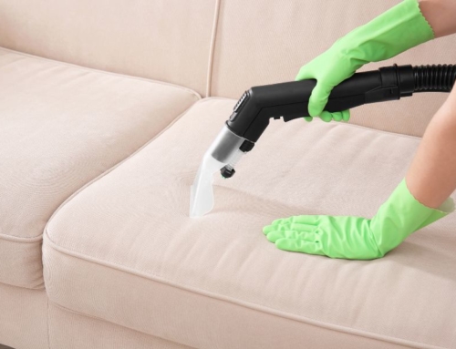 5 Reasons To Have Your Upholstery Professionally Cleaned