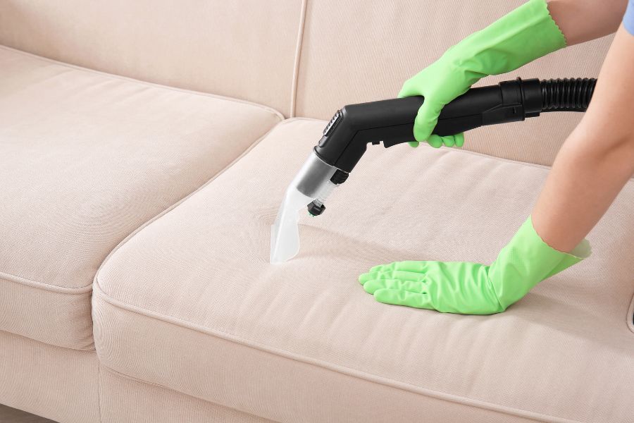 5 Reasons To Have Your Upholstery Professionally Cleaned