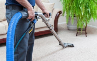 What Type of Carpet Cleaning is Best by Carpet Type