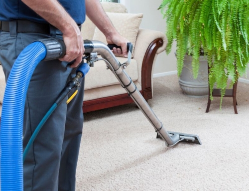 What Type of Carpet Cleaning is Best by Carpet Type?