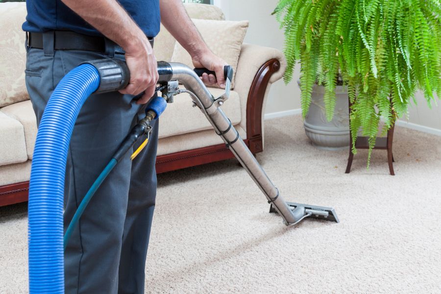 Upholstery Cleaning