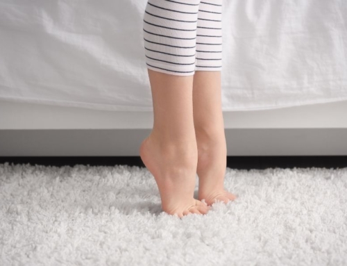 Reno’s Trusted Carpet Cleaning Service: Top At-Home Tips From Evergreen Carpet Care