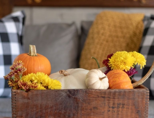 Top Fall Carpet Care Tips for a Cozy Home