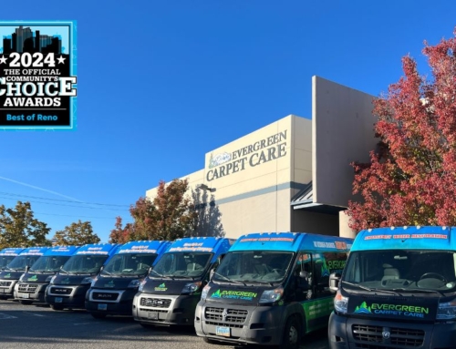 Why Evergreen Carpet Care Is Voted Northern Nevada’s Best Professional Carpet Cleaning Service