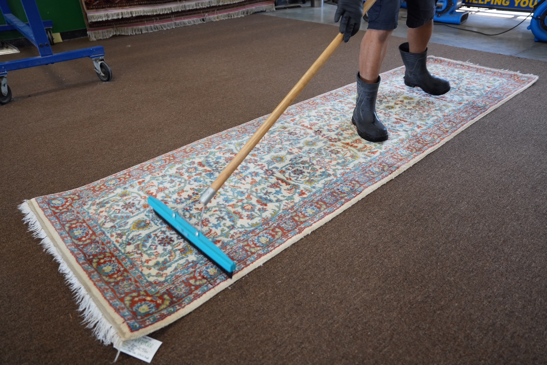 Area Rug Cleaning Reno