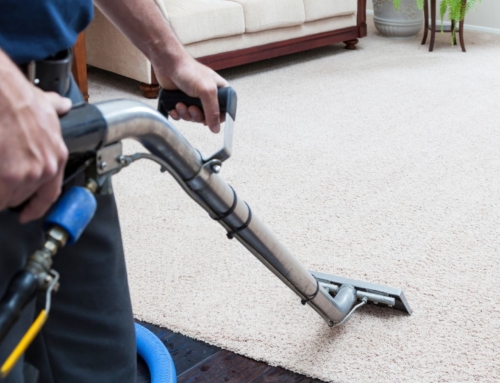 How To Extend The Life Of Your Carpets & Area Rugs