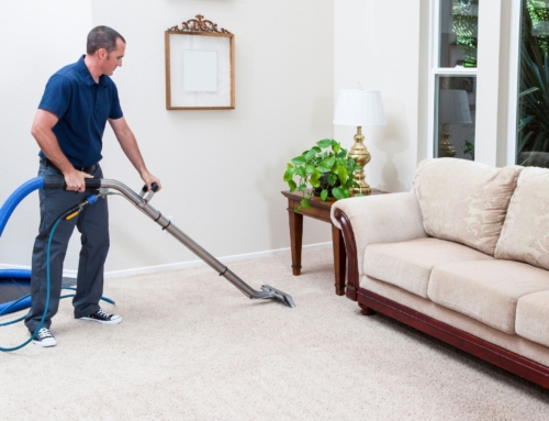 How Often Should You Have Your Carpets Professionally Cleaned?